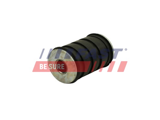 Mounting, leaf spring - FT13704 FAST