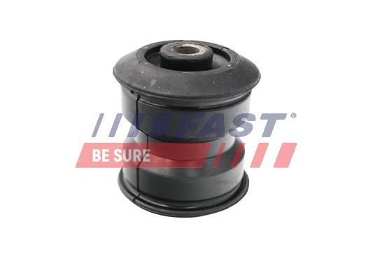 Supporto, Molla a balestra - FT13706 FAST