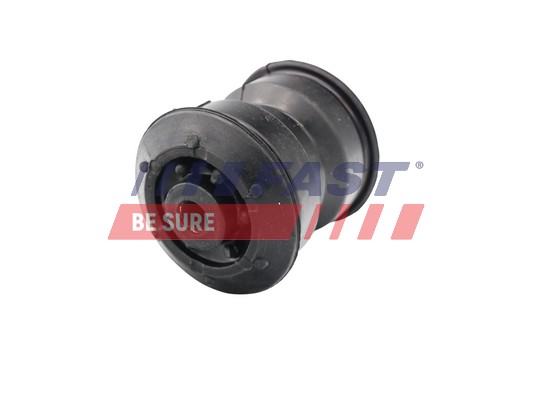 Mounting, leaf spring - FT13706 FAST
