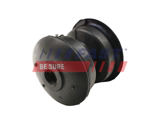 Mounting, leaf spring - FT13707 FAST