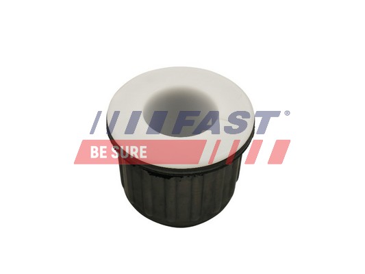 Mounting, leaf spring - FT13711 FAST
