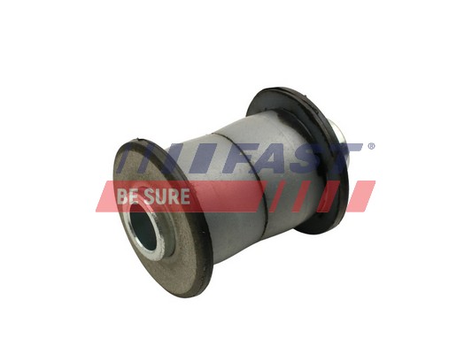 Mounting, leaf spring - FT13713 FAST