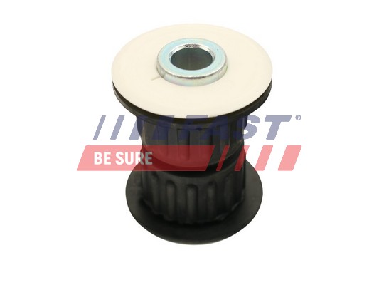 Supporto, Molla a balestra - FT13903 FAST