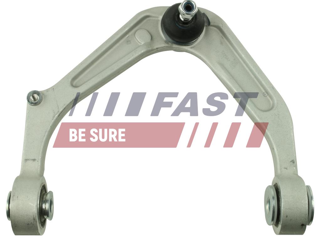 Track Control Arm - FT15151 FAST