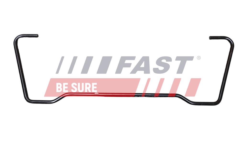 Stabilisator, Fahrwerk - FT15960 FAST
