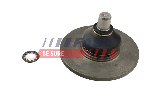 Ball Joint - FT17111 FAST
