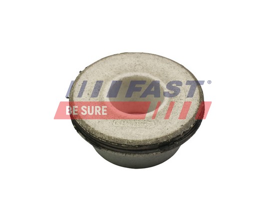 Control Arm-/Trailing Arm Bush - FT18067 FAST