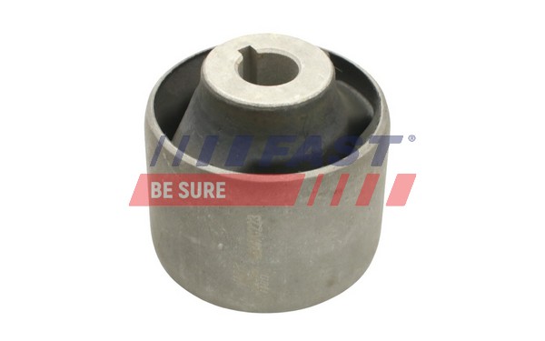 Supporto, Braccio oscillante - FT18094 FAST