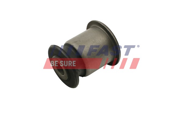 Control Arm-/Trailing Arm Bush - FT18095 FAST