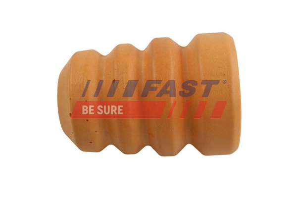 Dust Cover Kit, shock absorber - FT18113 FAST