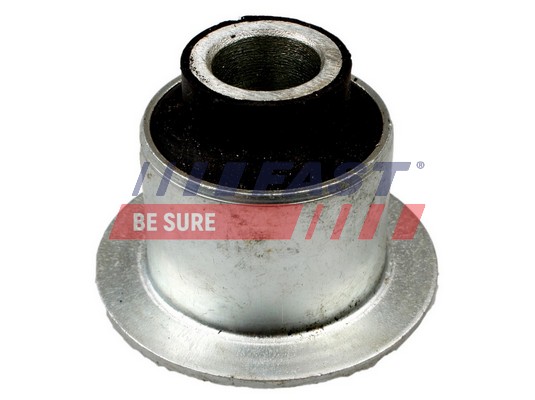 Mounting, leaf spring - FT18251 FAST