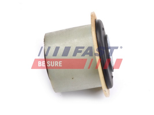 Mounting, leaf spring - FT18312P FAST