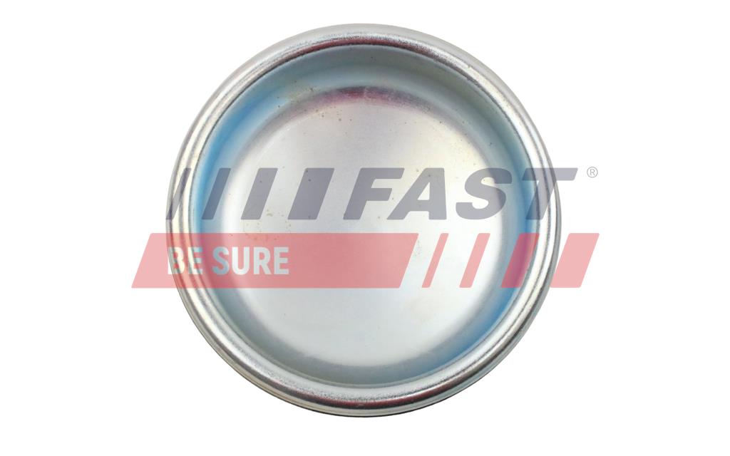 Protection Lid, wheel hub - FT22401 FAST