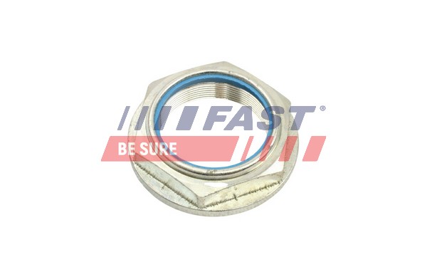 Nut, stub axle - FT26041 FAST