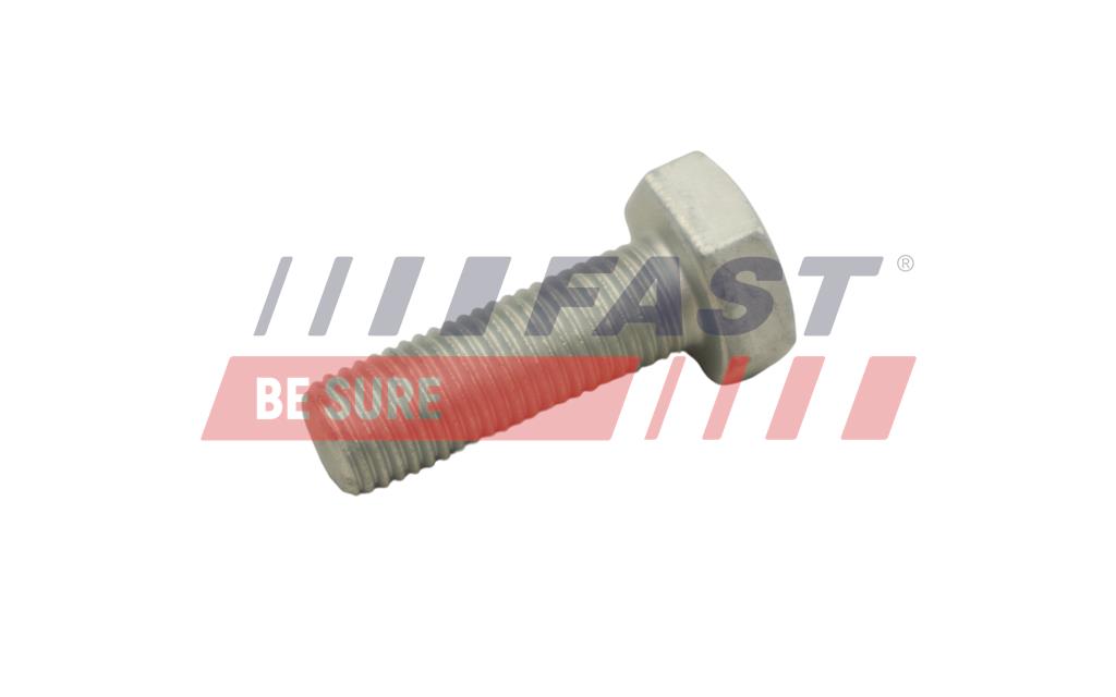 Bolt, brake disc - FT30601 FAST
