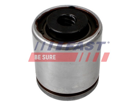 Pistone, Pinza freno - FT32273 FAST