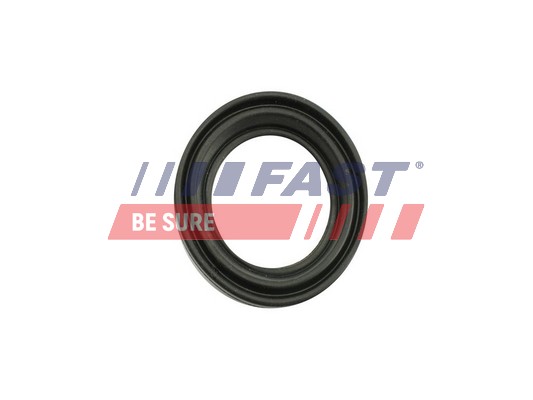 Repair Kit, brake caliper - FT32483 FAST