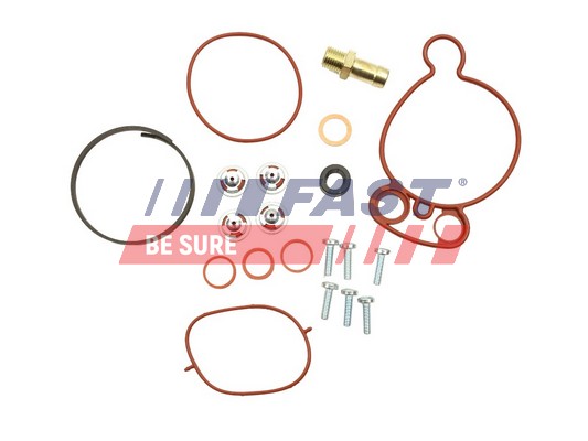 Kit riparazione, Pompa a depressione (Sistema frenante) - FT36031 FAST