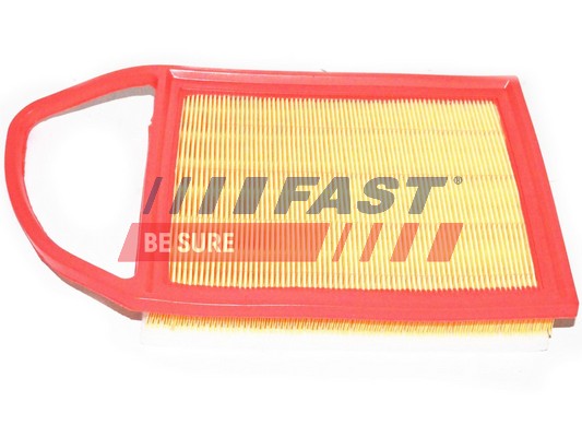 oro filtras - FT37134 FAST