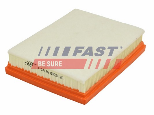 Air Filter - FT37176 FAST