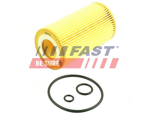 alyvos filtras - FT38011 FAST