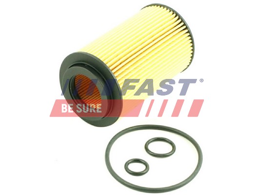Filtro olio - FT38013 FAST