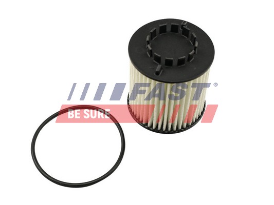 Filtro olio - FT38023 FAST