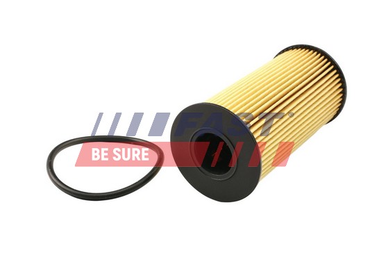 Filtro olio - FT38031 FAST