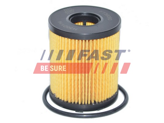 Filtro olio - FT38060 FAST