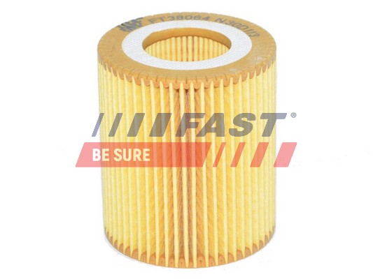 Filtro olio - FT38064 FAST