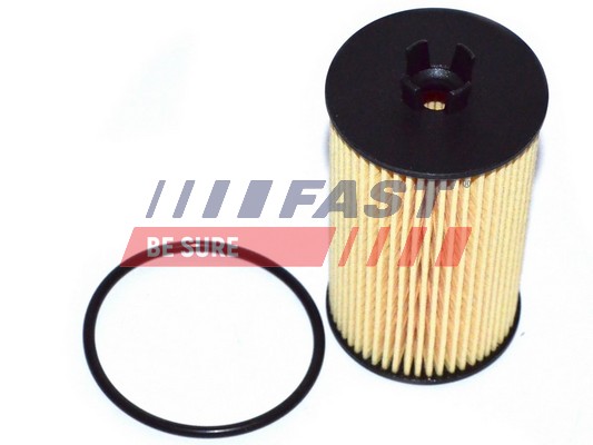 Filtro olio - FT38066 FAST