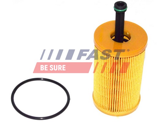 Filtro olio - FT38082 FAST