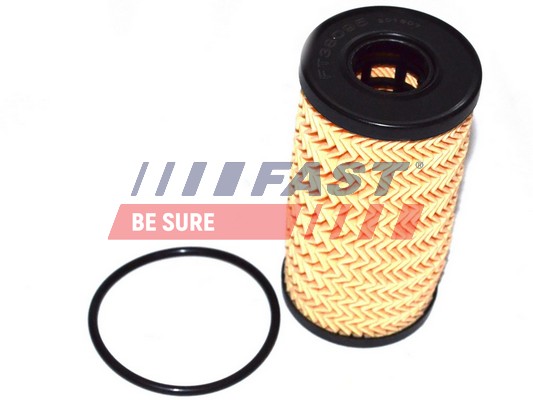 Oil Filter - FT38095 FAST