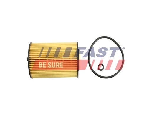 Oil Filter - FT38098 FAST