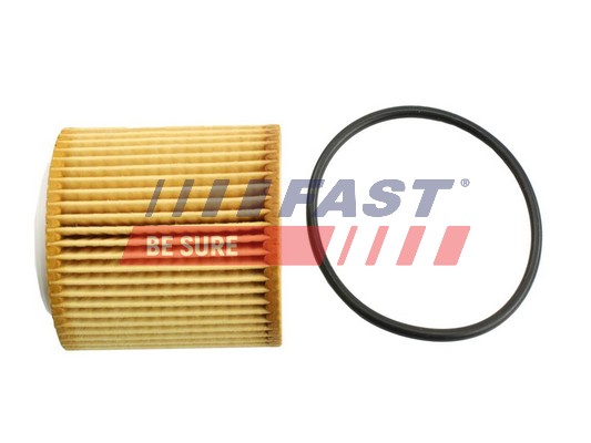 Oil Filter - FT38100 FAST