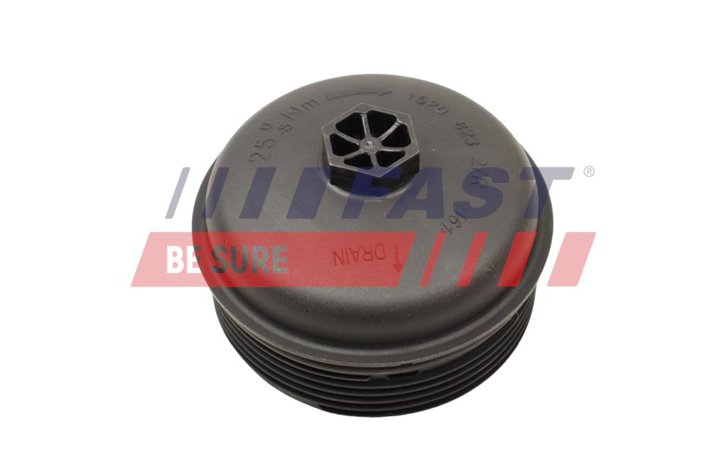 Carter, Filtro olio - FT38204 FAST