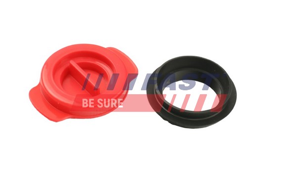 Seal, oil pump - FT38802 FAST