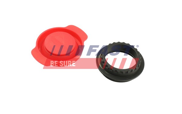 Seal, oil pump - FT38802 FAST