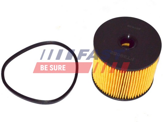Fuel filter - FT39052 FAST