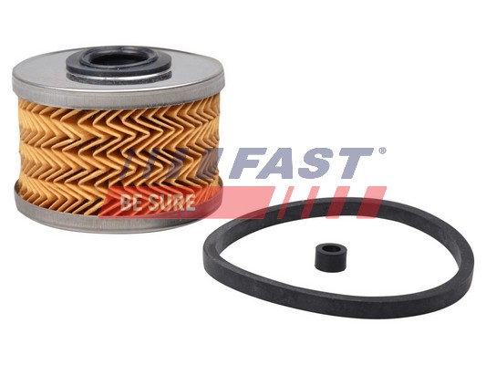 Filtro carburante - FT39070 FAST