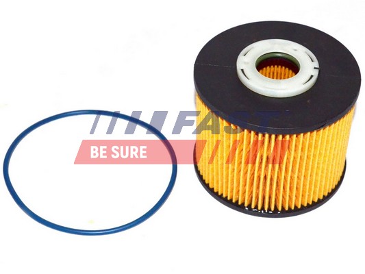 Fuel filter - FT39077 FAST