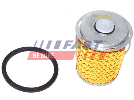 Filtro carburante - FT39102 FAST