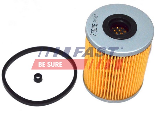 Fuel filter - FT39105 FAST