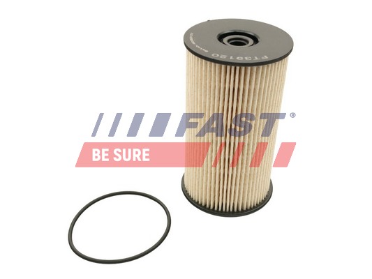 Fuel filter - FT39120 FAST