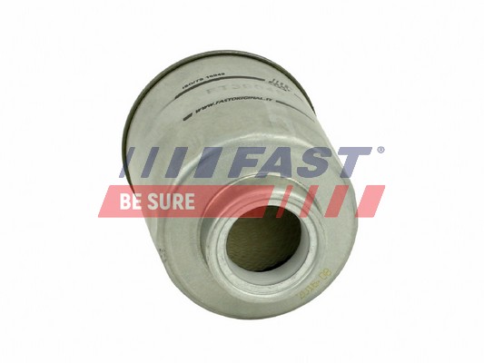 Fuel filter - FT39149 FAST