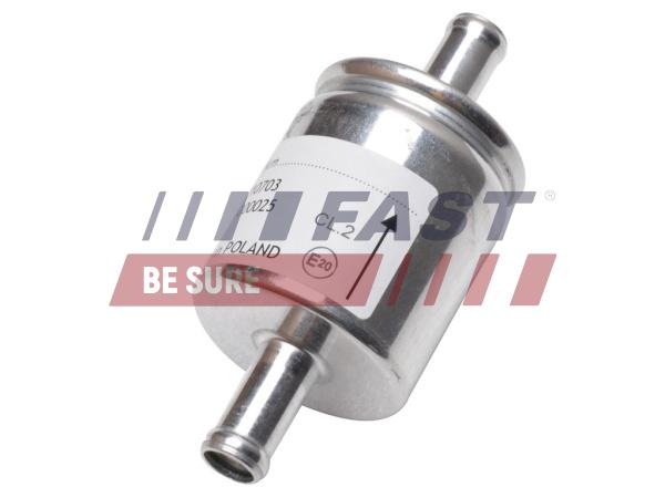 Filtro carburante - FT39252 FAST