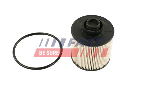 Filtro carburante - FT39306 FAST