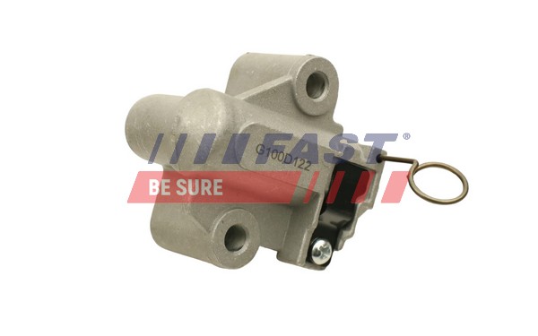 Vibration Damper, timing belt - FT44101 FAST