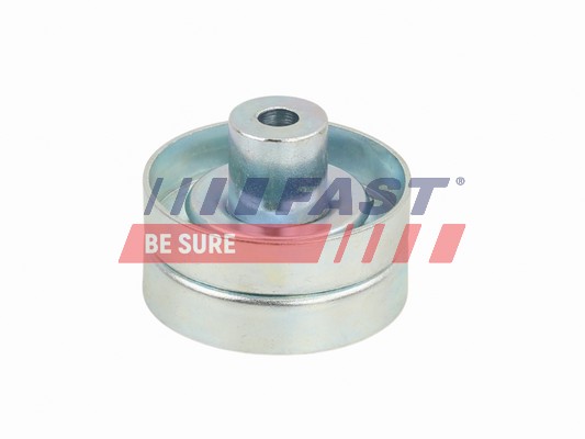 Rullo tenditore, Cinghia Poly-V - FT44666 FAST