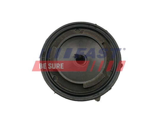 Timing Case - FT45333 FAST